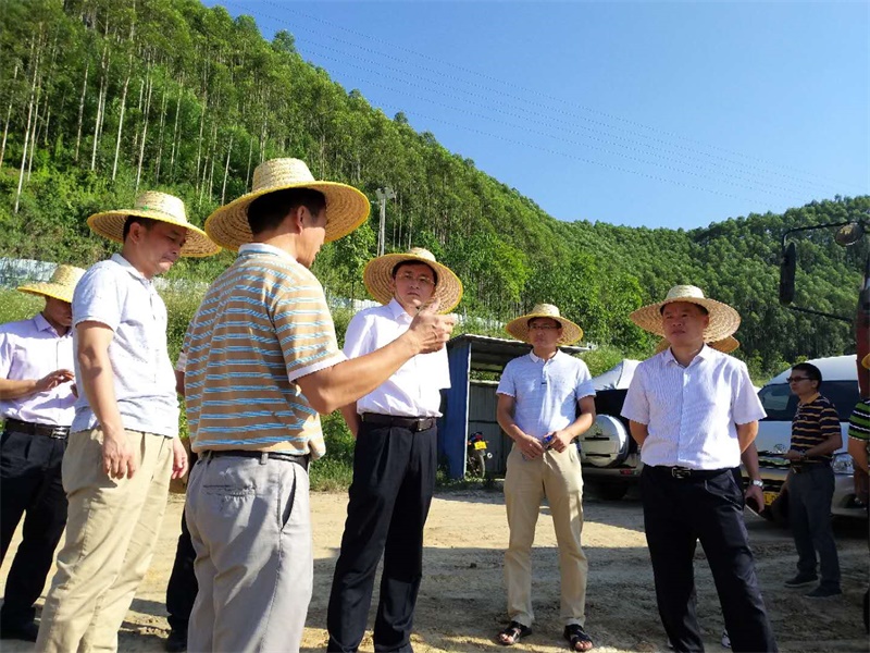 ladbrokes����(�й�)���޹�˾