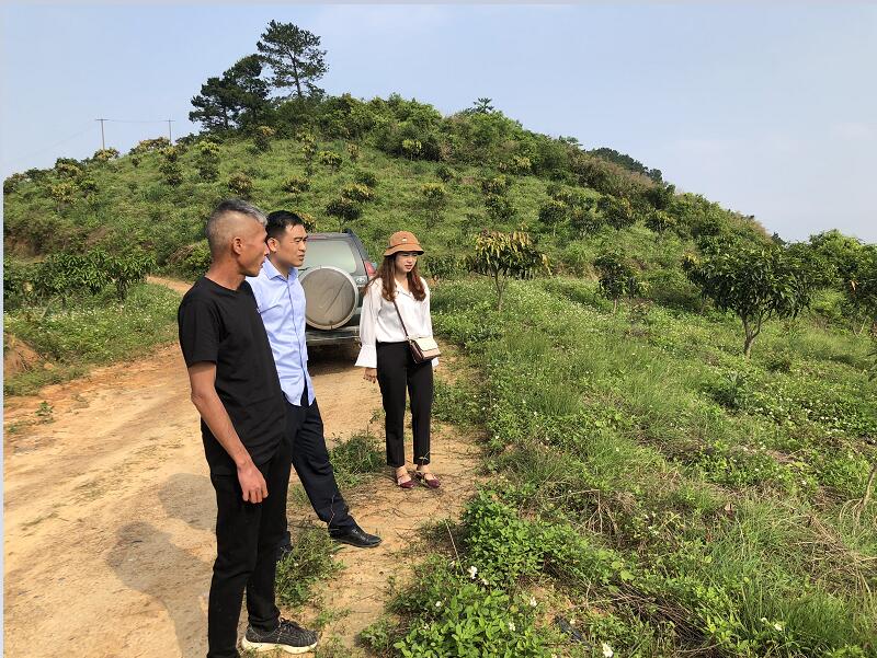 ladbrokes����(�й�)���޹�˾