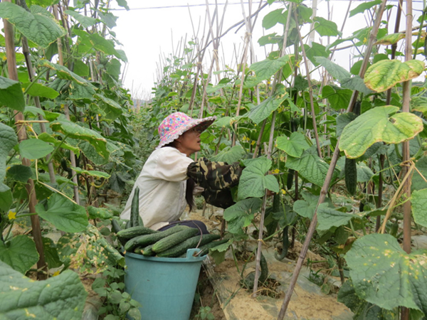 ladbrokes����(�й�)���޹�˾