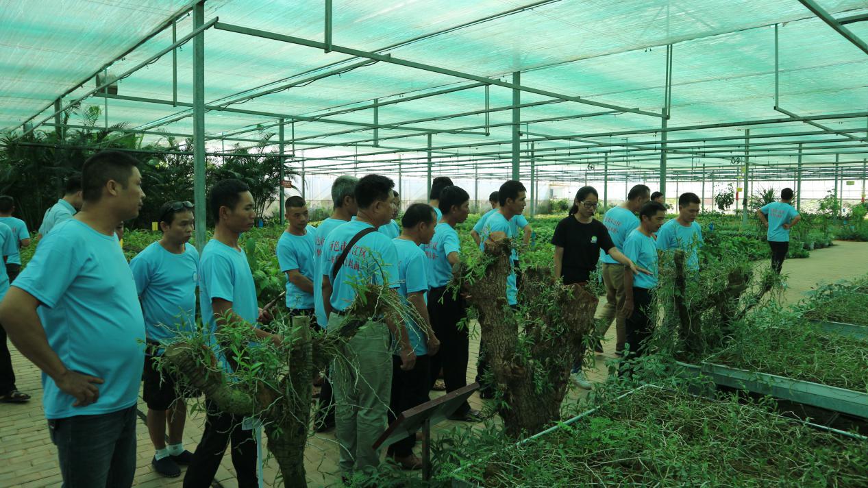 ladbrokes����(�й�)���޹�˾