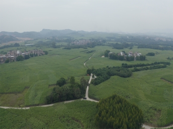 ��ɫ���ҽ���������ͨ���辶